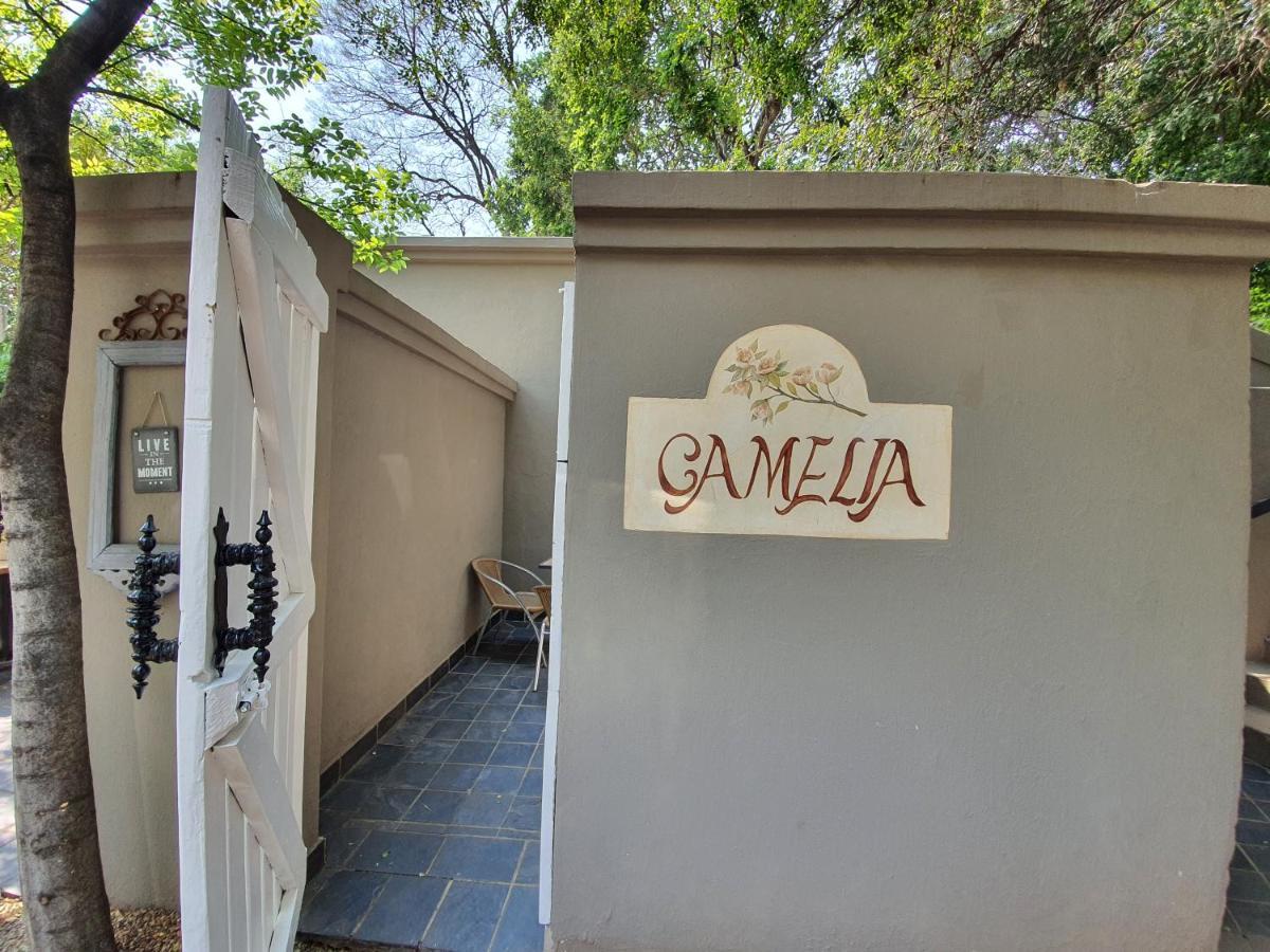 Waterhouse Guest Lodge In Muckleneuk Pretoria-Noord Quarto foto